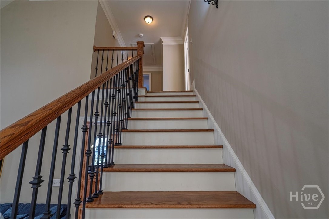 1542 Meadow Springs Drive