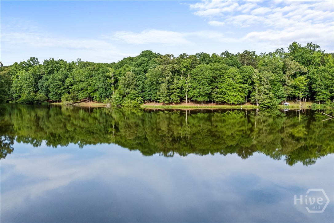 295 Blue Heron Drive