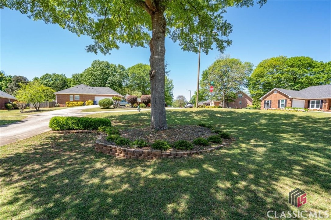 715 St Ives Lane