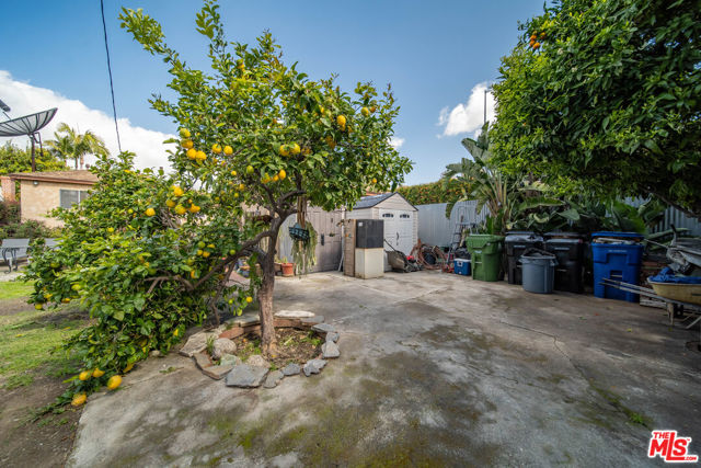 11278 Ivy Place