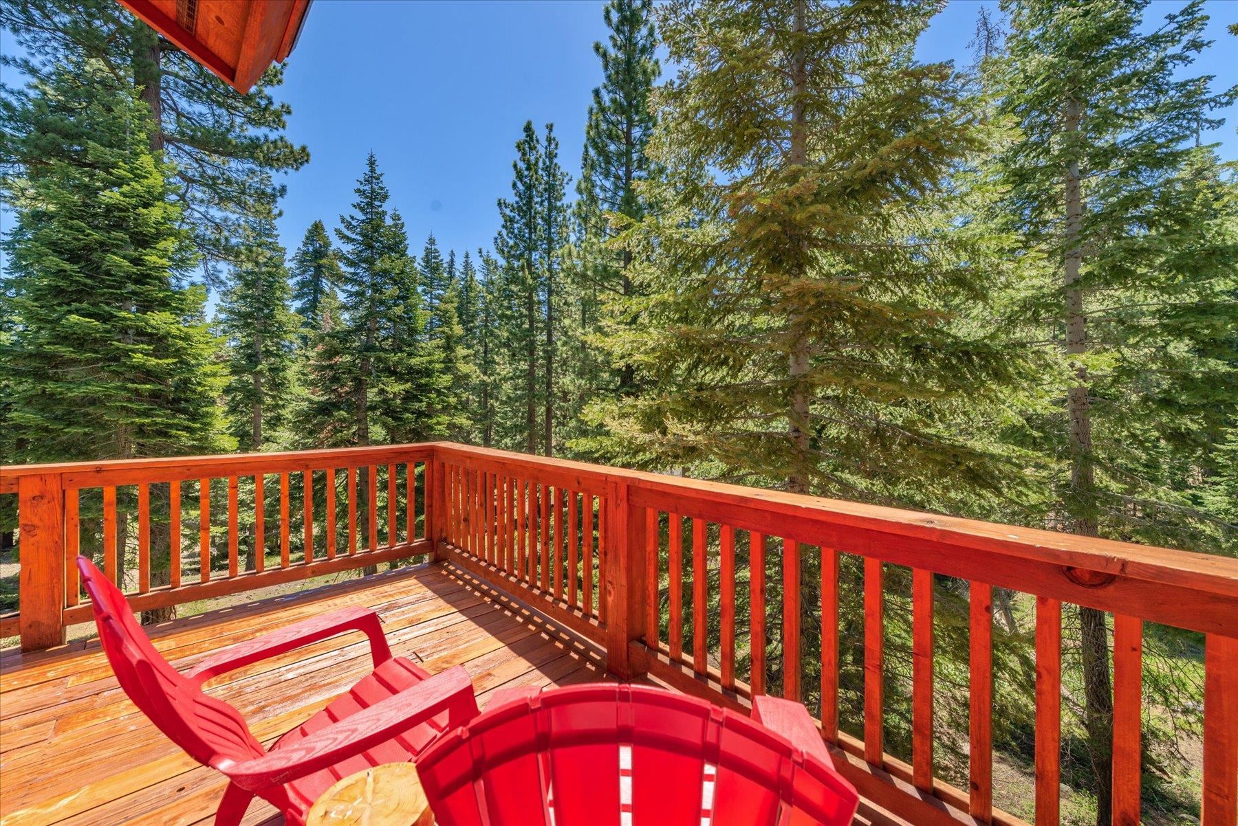 1337 Jester Court