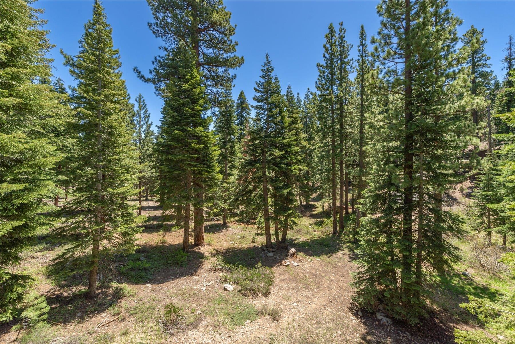 1337 Jester Court