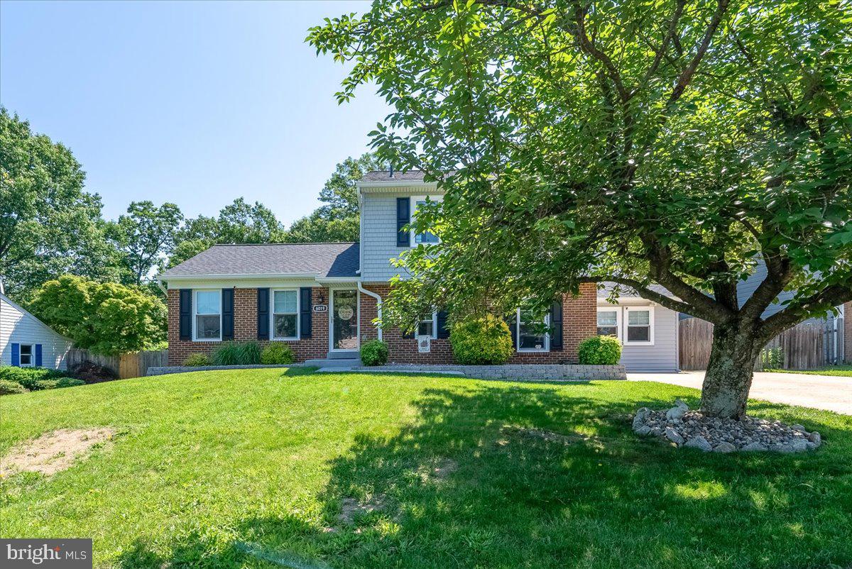 6019 Bitternut Dr