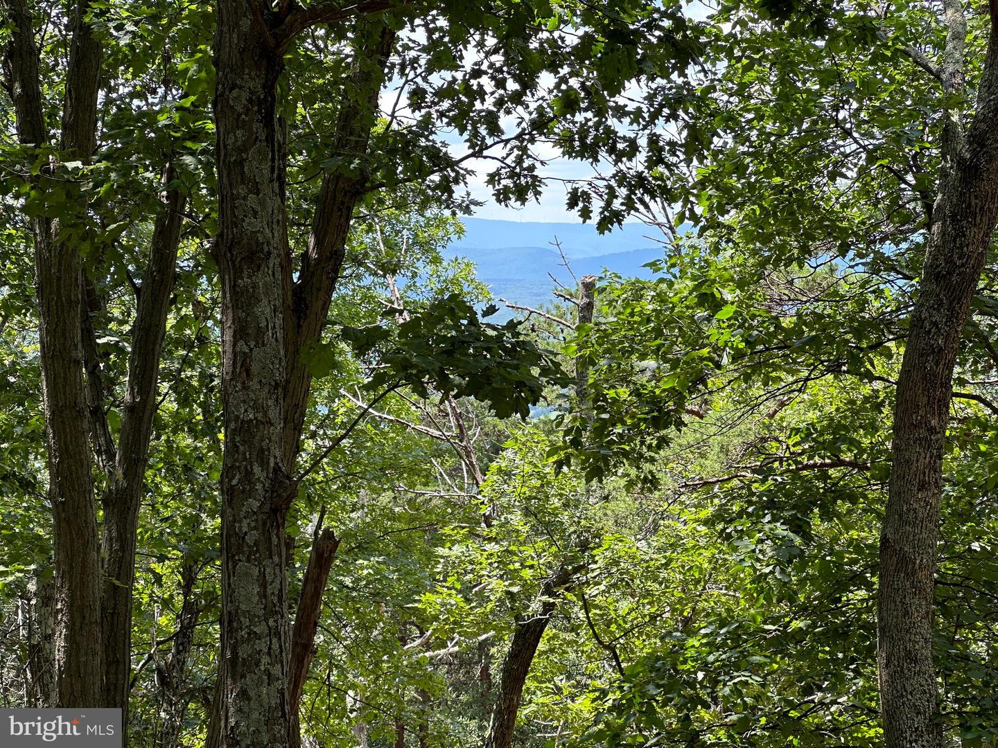 207 Bluffs On The Potomac