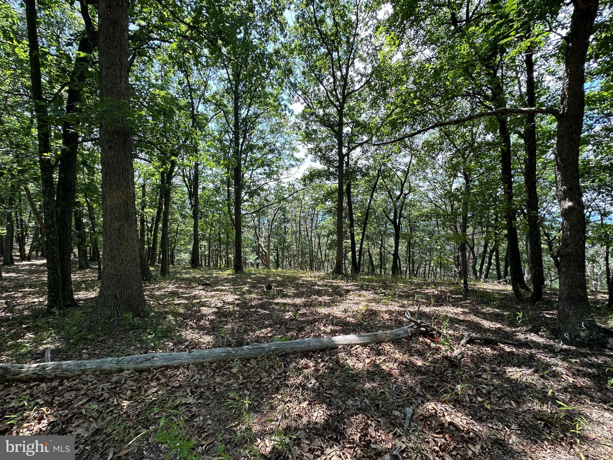 207 Bluffs On The Potomac
