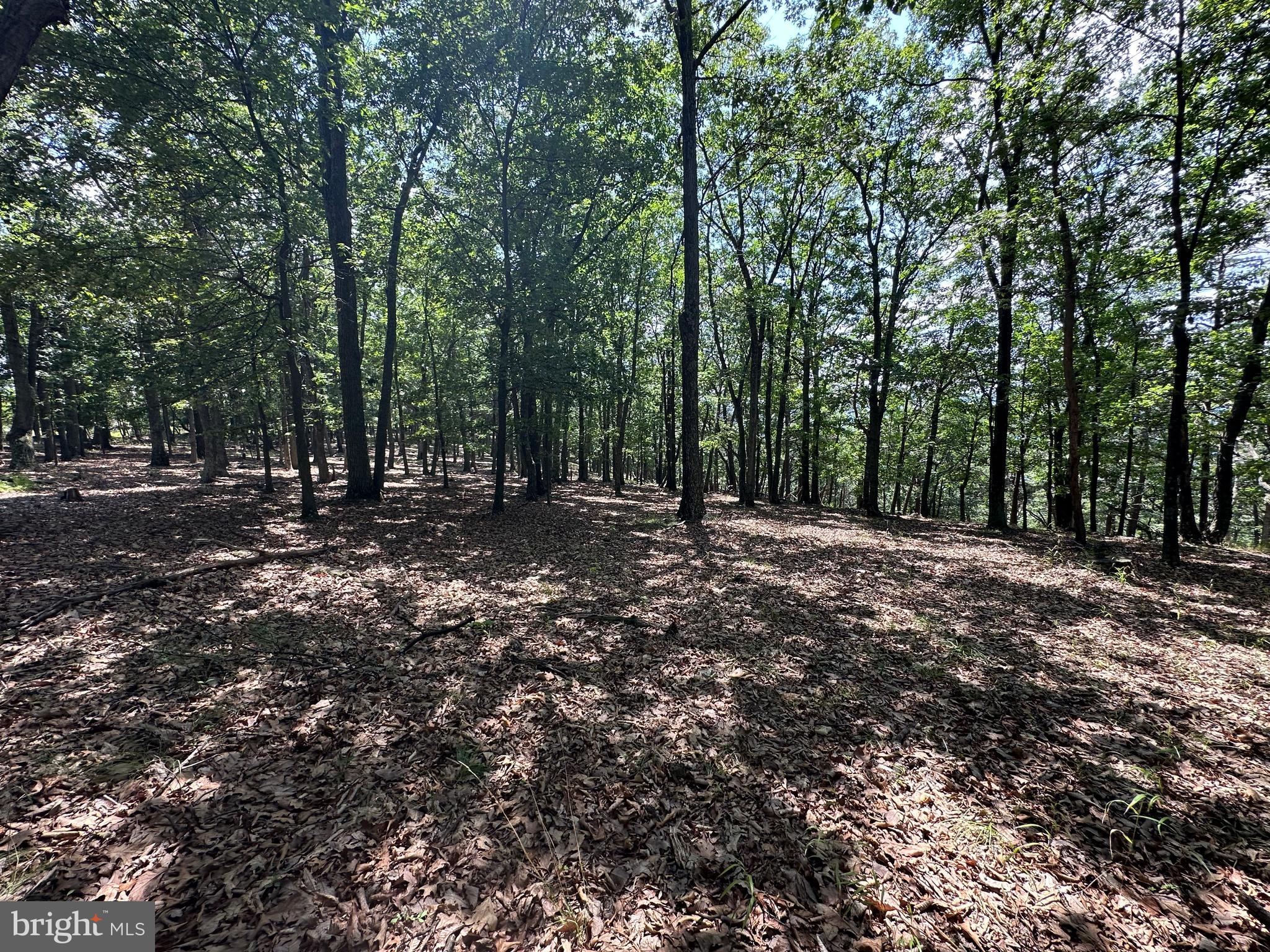 207 Bluffs On The Potomac