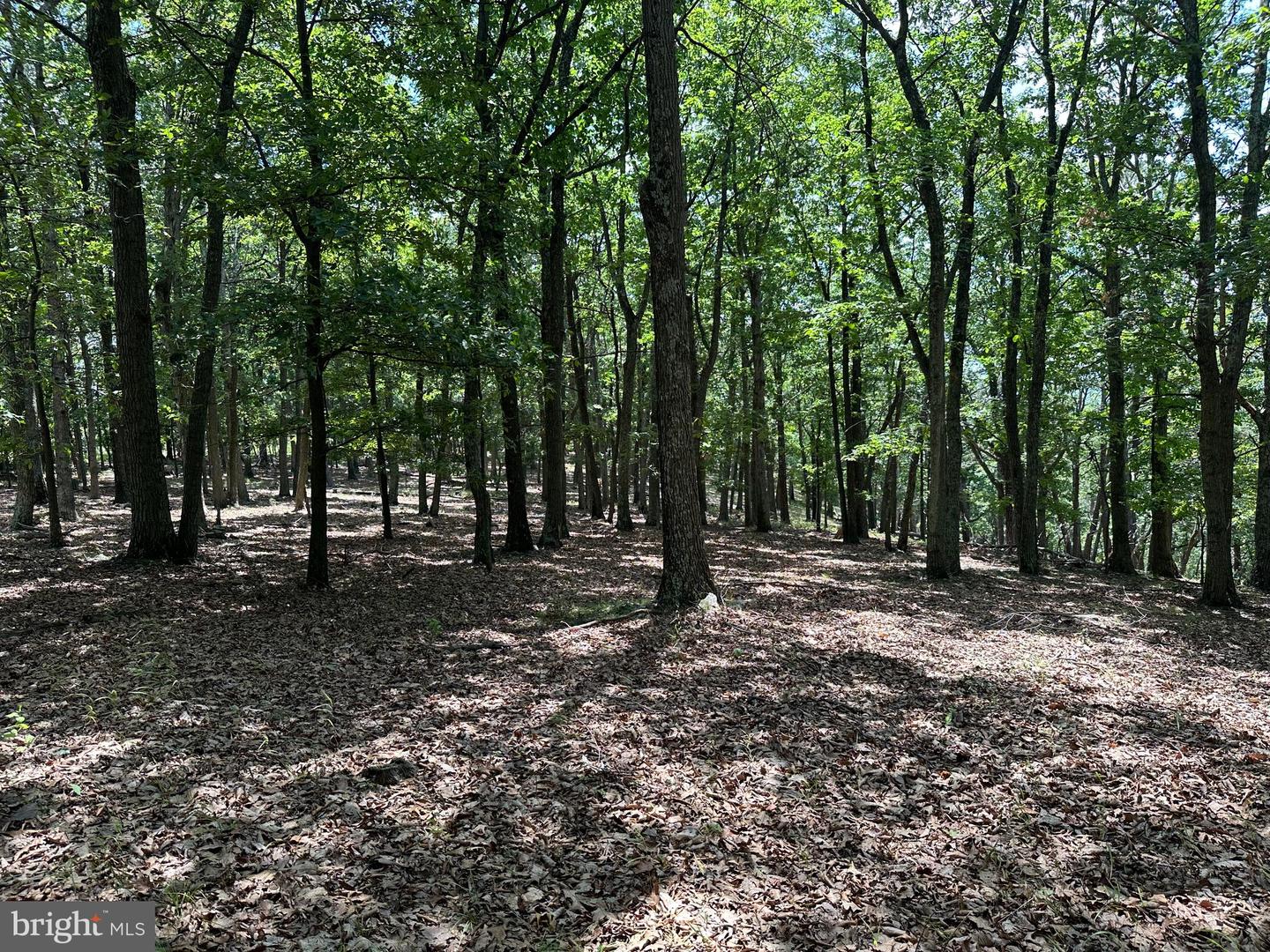 207 Bluffs On The Potomac