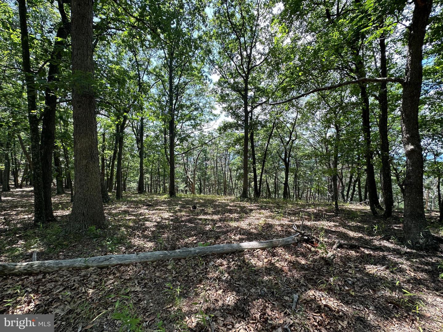 207 Bluffs On The Potomac