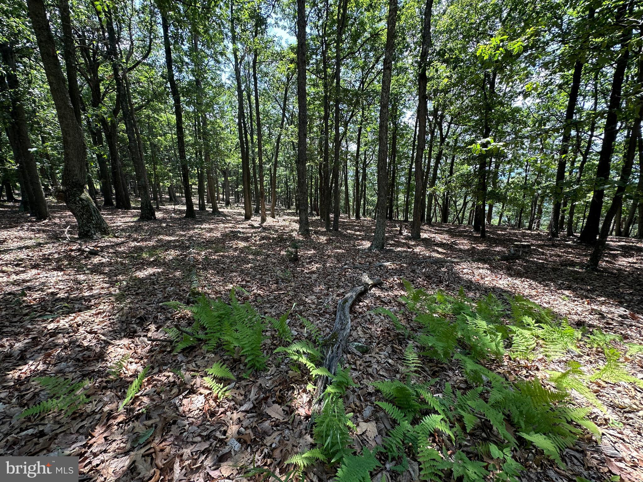 207 Bluffs On The Potomac