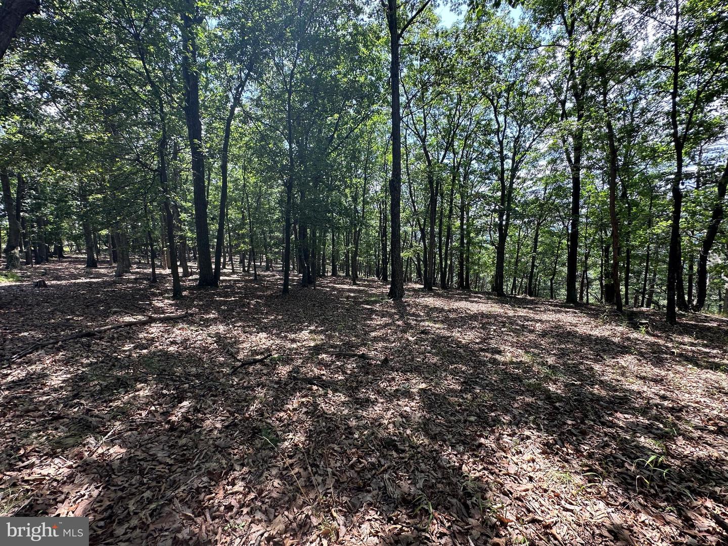 207 Bluffs On The Potomac