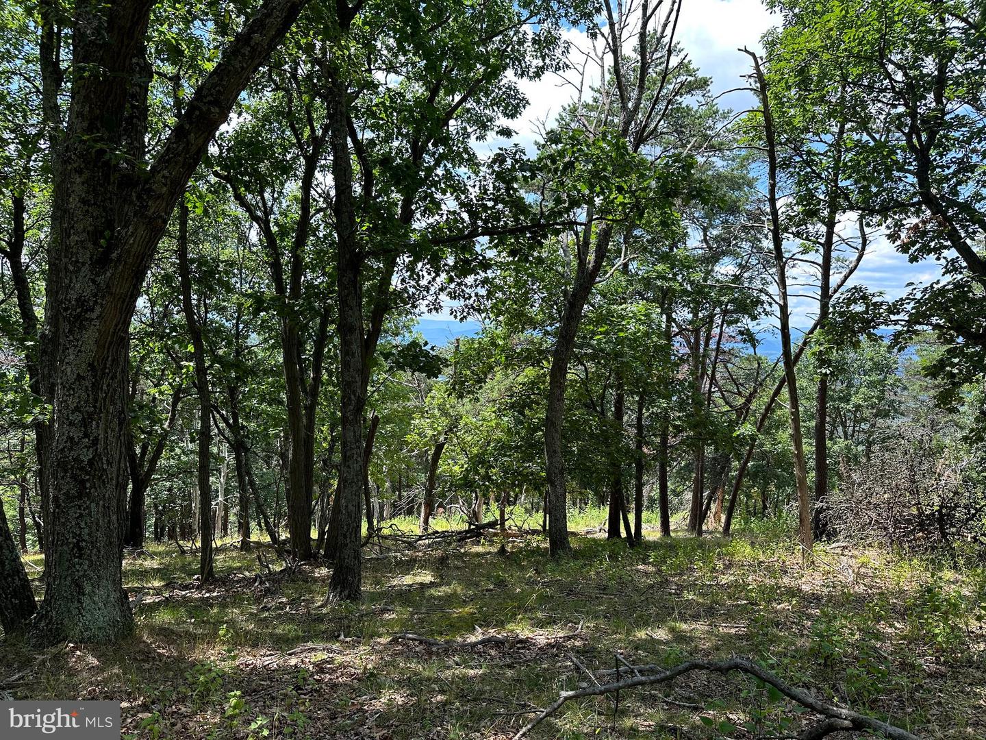 207 Bluffs On The Potomac