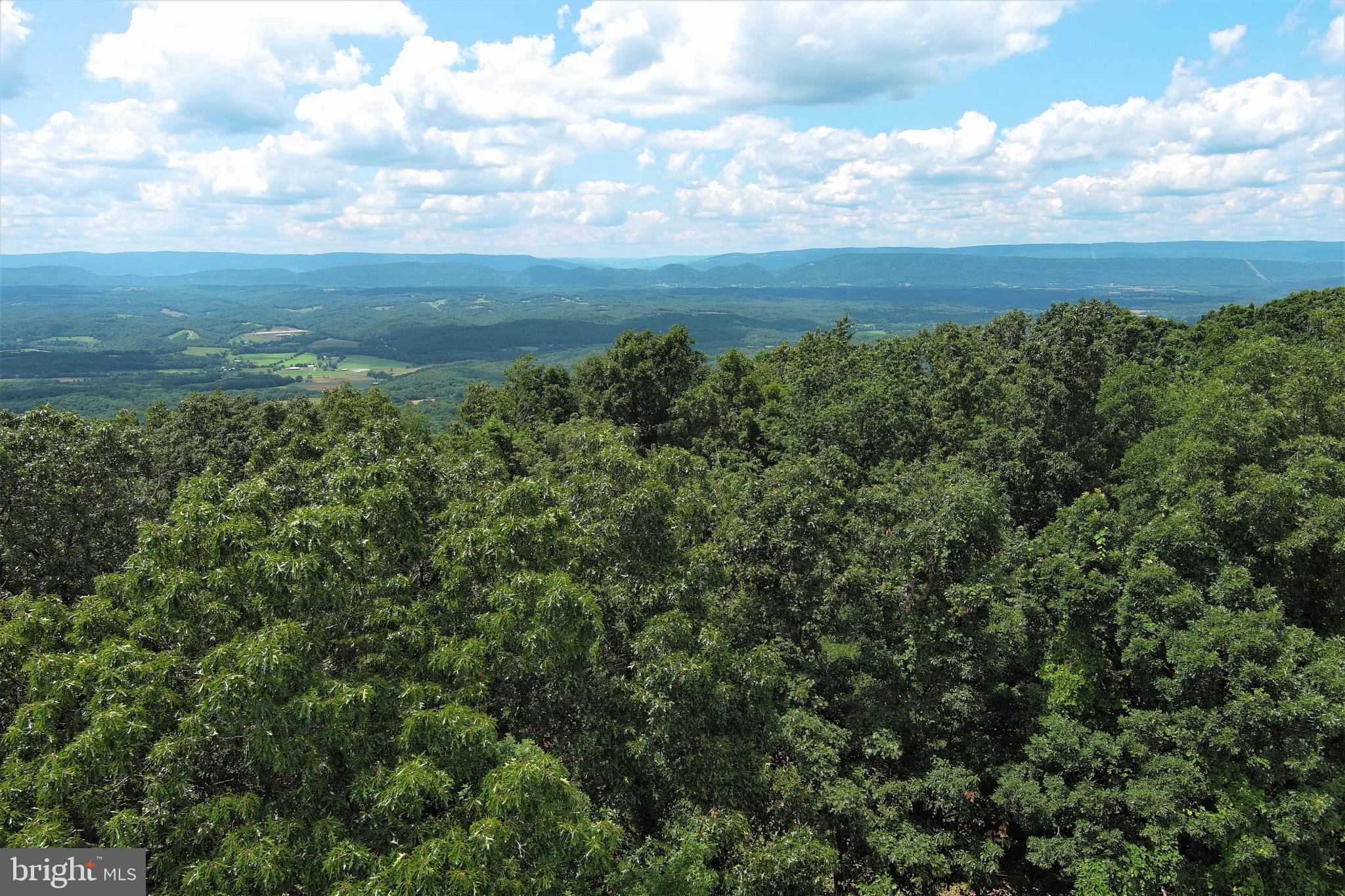 207 Bluffs On The Potomac