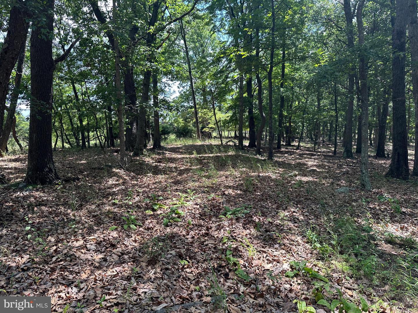 207 Bluffs On The Potomac