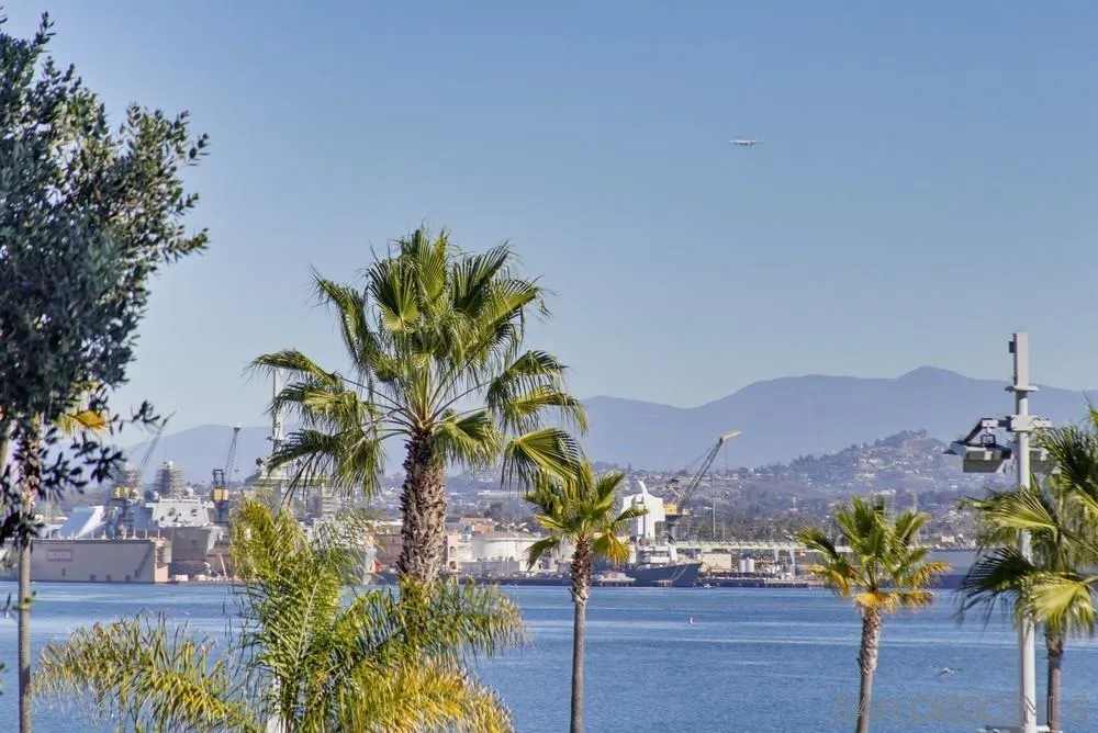 1820 Avenida Del Mundo Unit 108