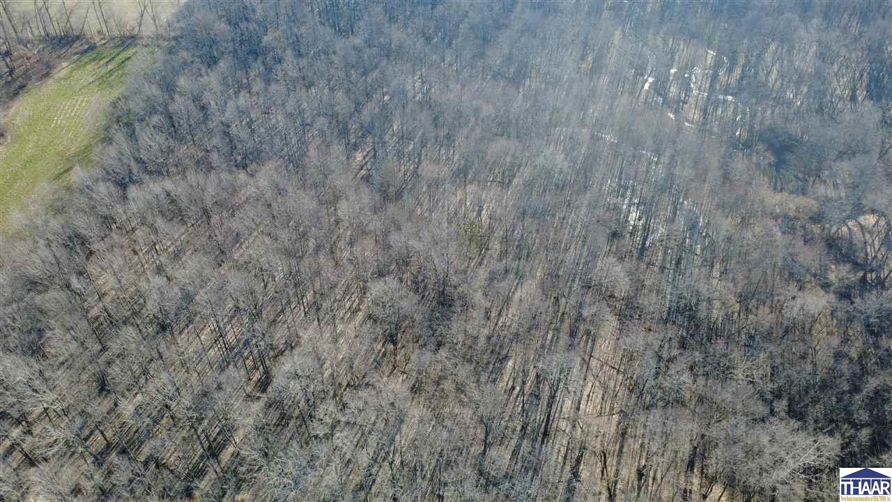 E Coal Bluff Road