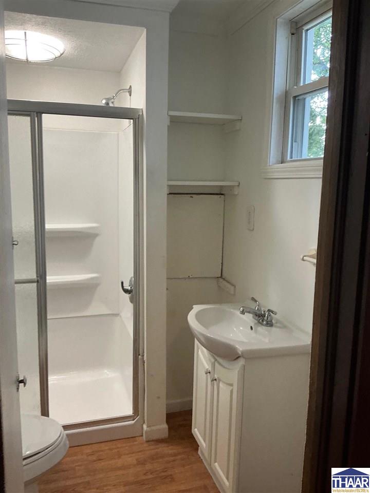 Bathroom with a glass-doored shower, white sink vanity, and wood-look flooring.