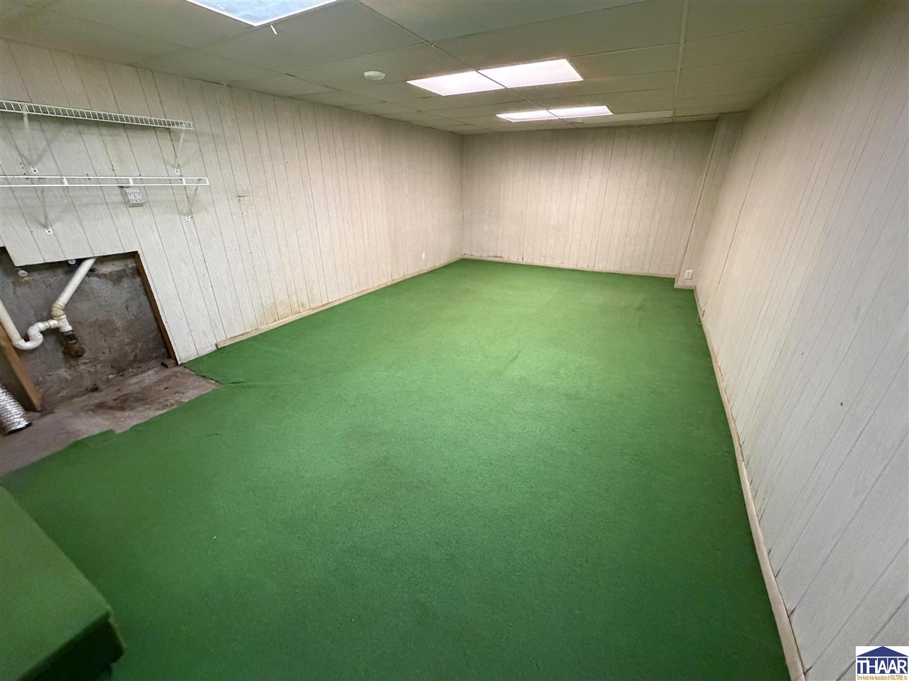 Empty basement room with green carpet, wire shelving, and exposed plumbing.