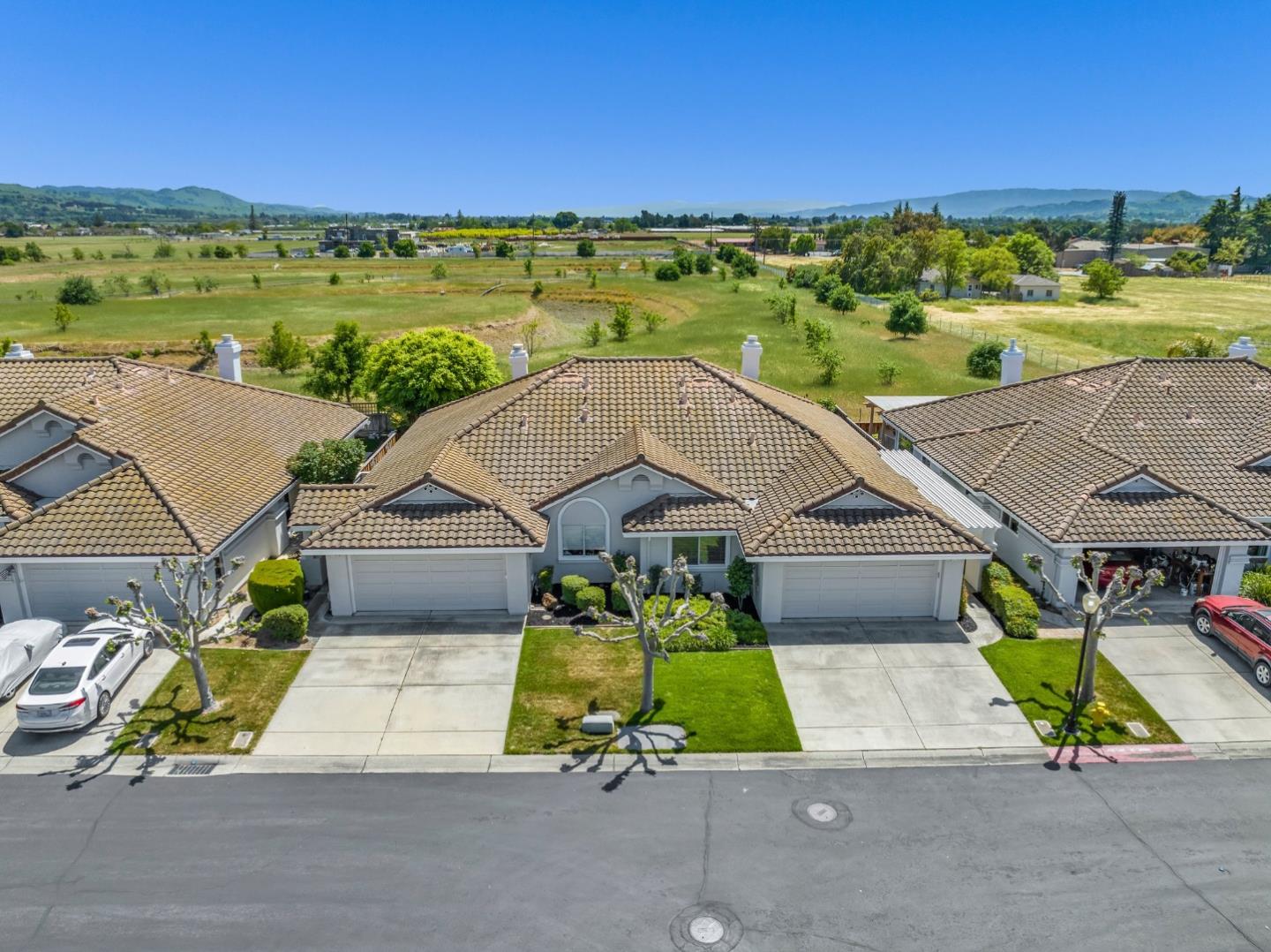 1776 Pinecone Court