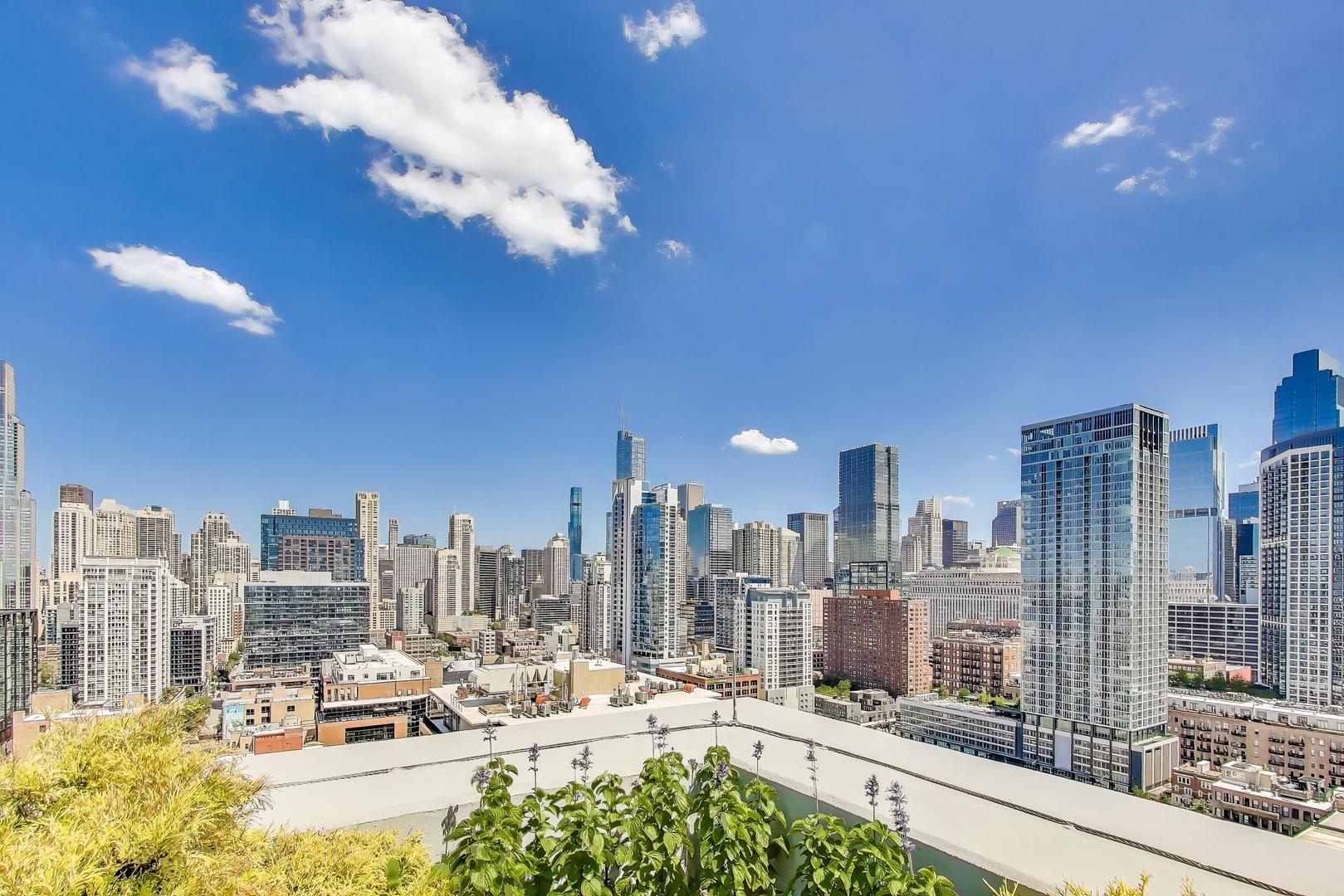 435 W Erie Street Unit: 1106