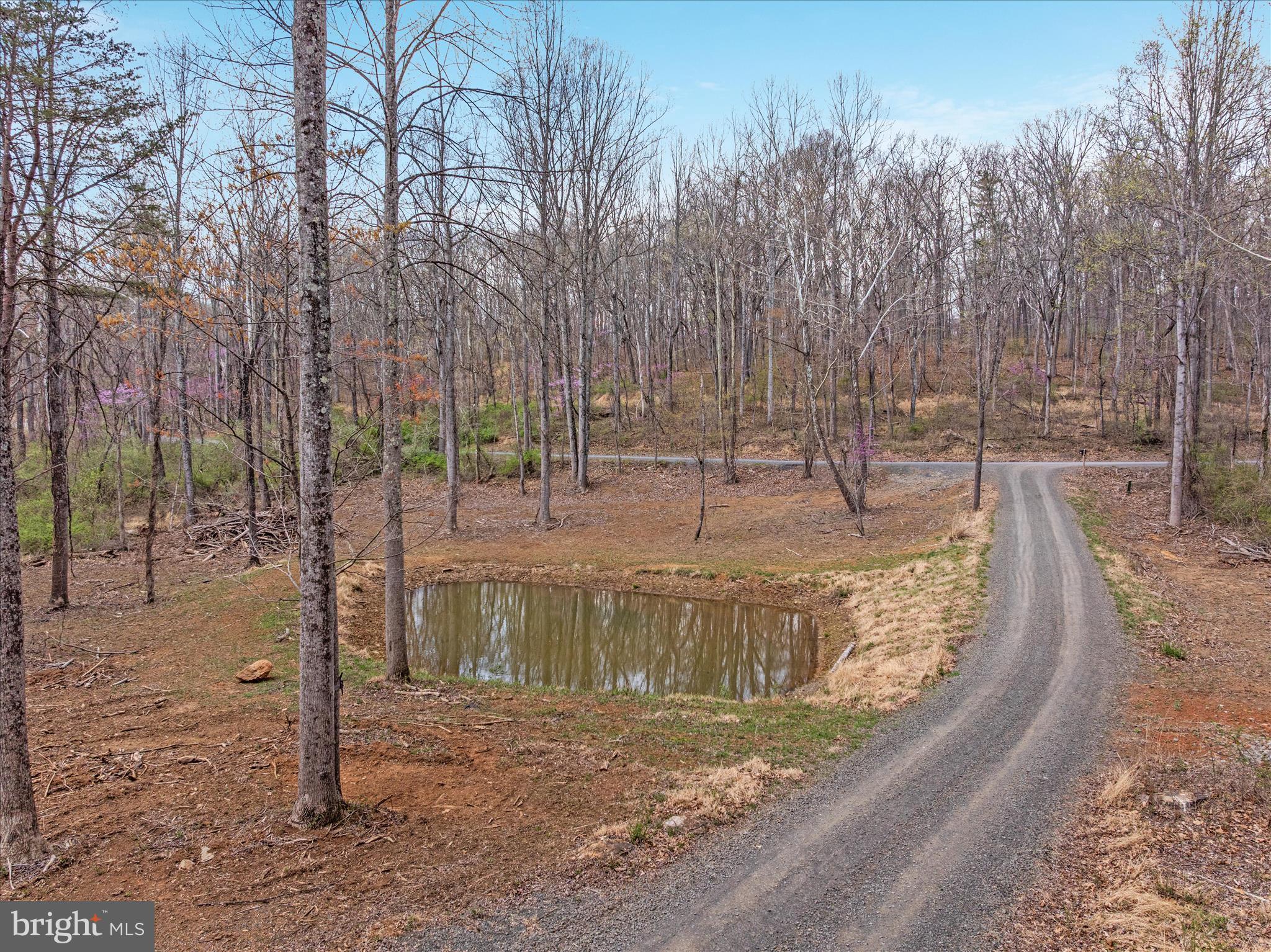 8189 SUMMERFIELD HILLS DRIVE