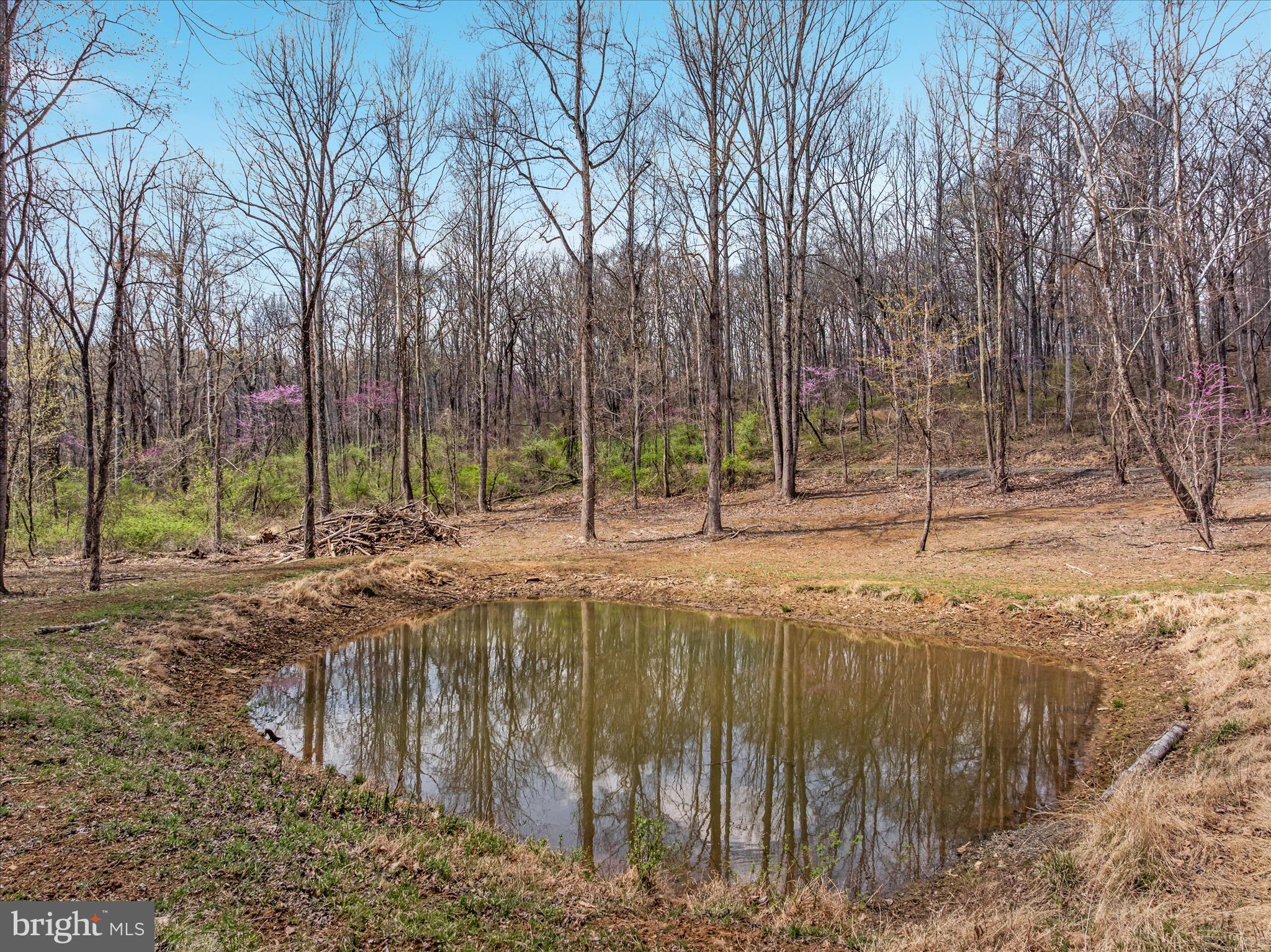 8189 SUMMERFIELD HILLS DRIVE