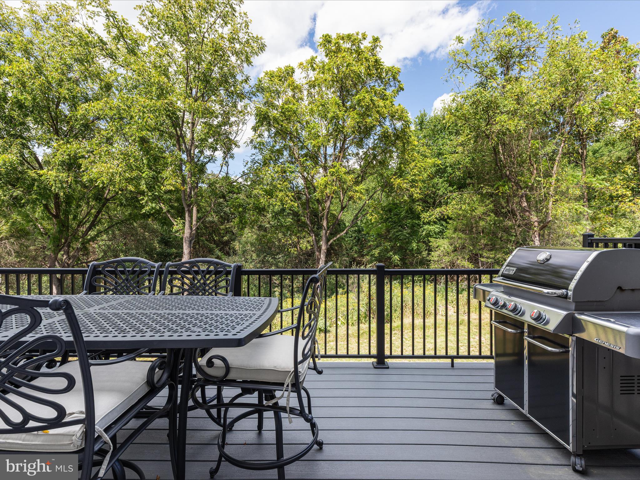 133 WAKE ROBIN CT