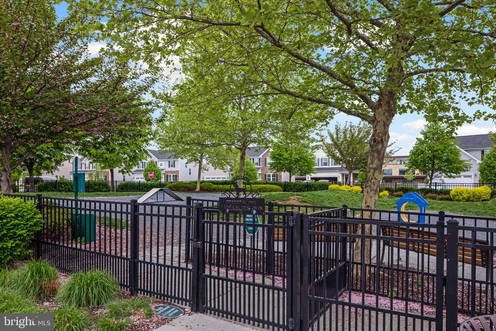 146 BLACKFORD DRIVE