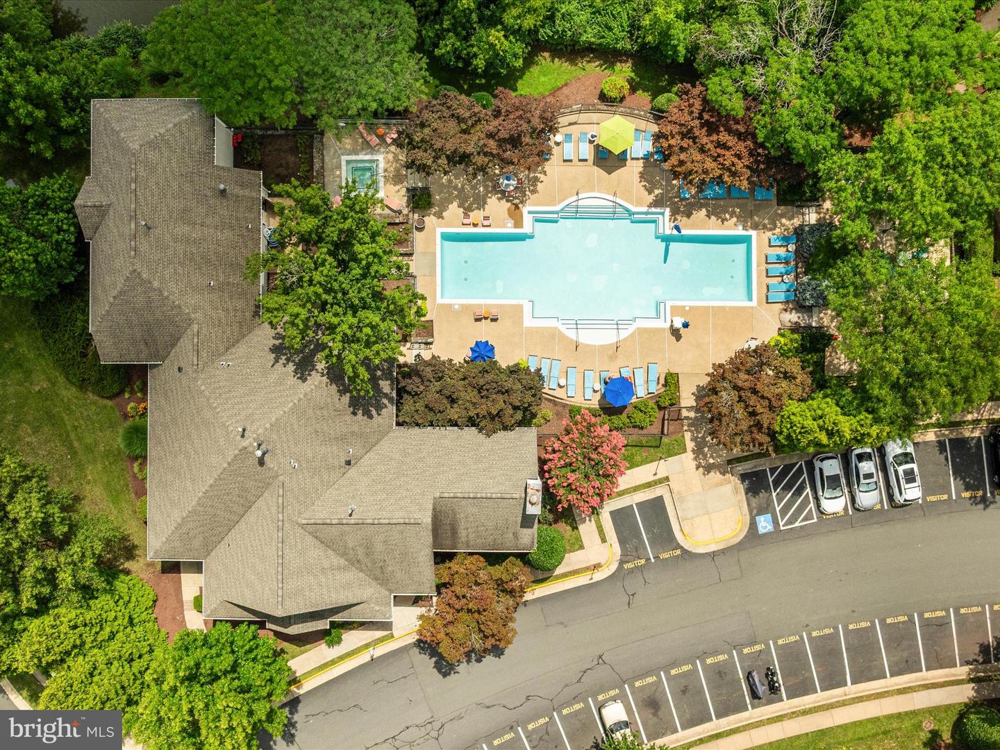 14309 Climbing Rose Way #204