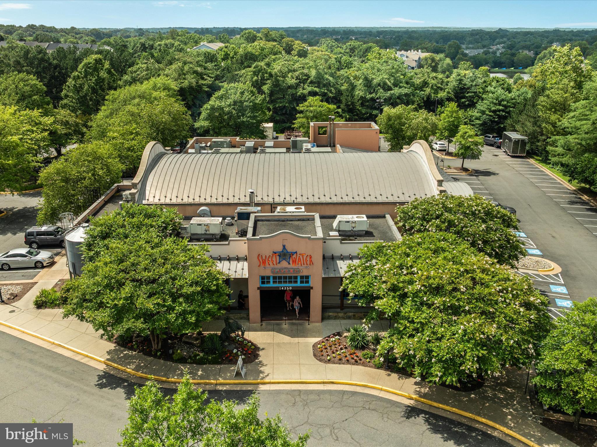 14309 Climbing Rose Way #204