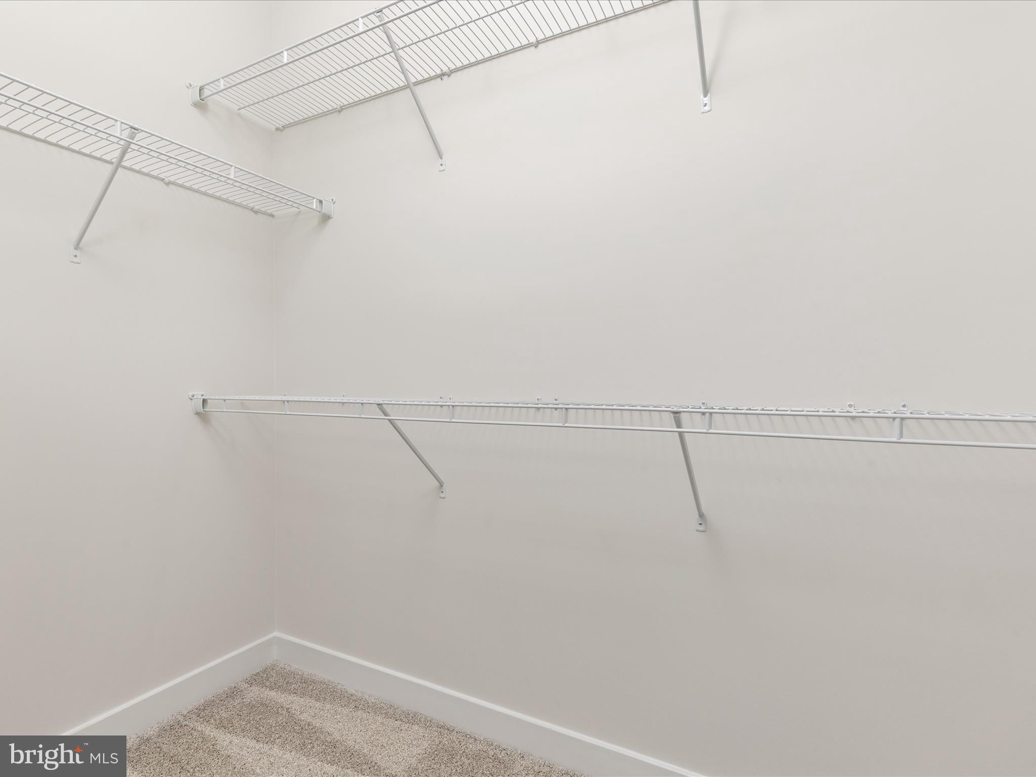 14439 ALBEMARLE POINT PLACE