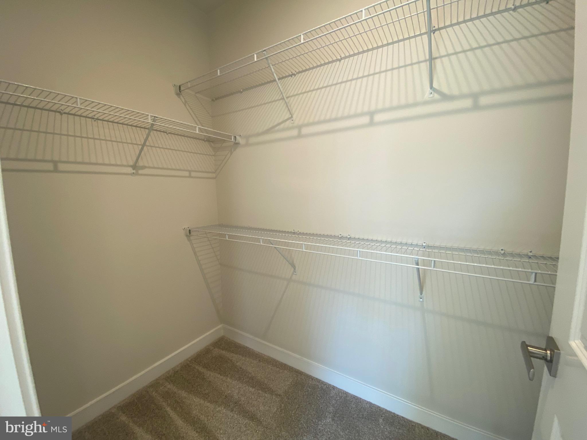 14439 ALBEMARLE POINT PLACE