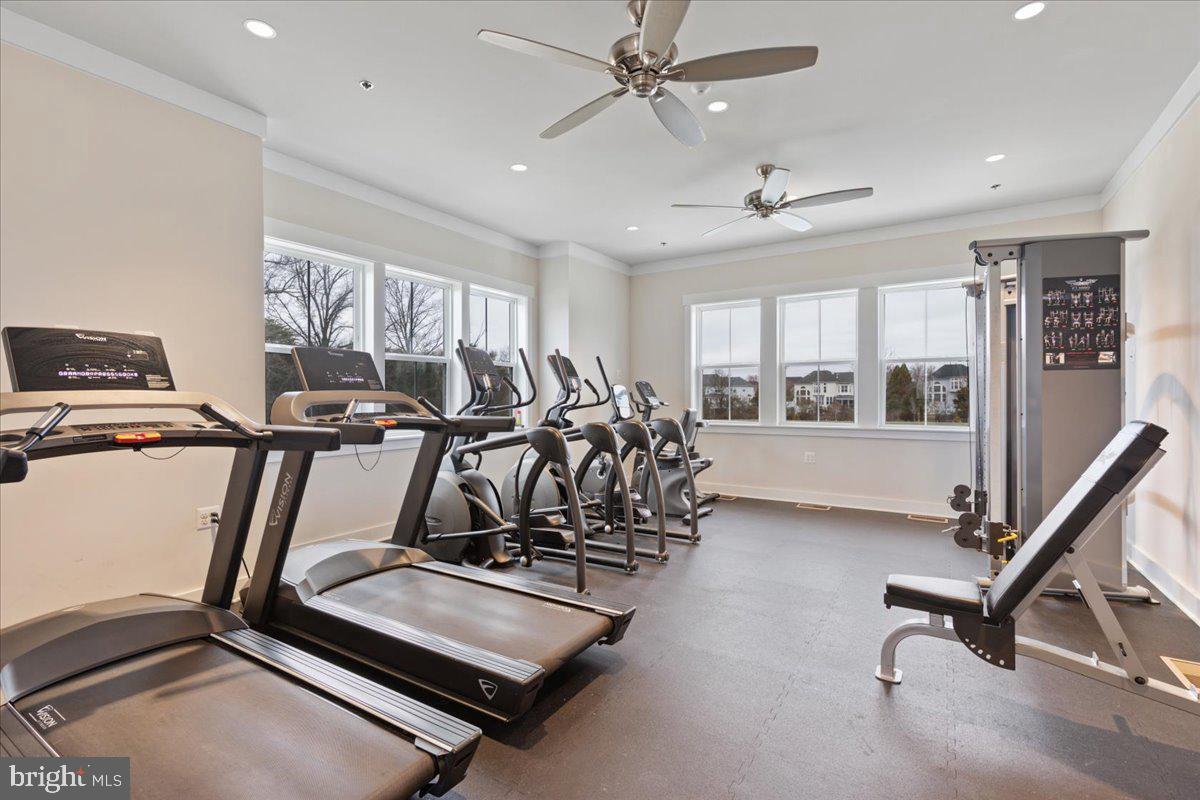 25618 Preston Park Ter