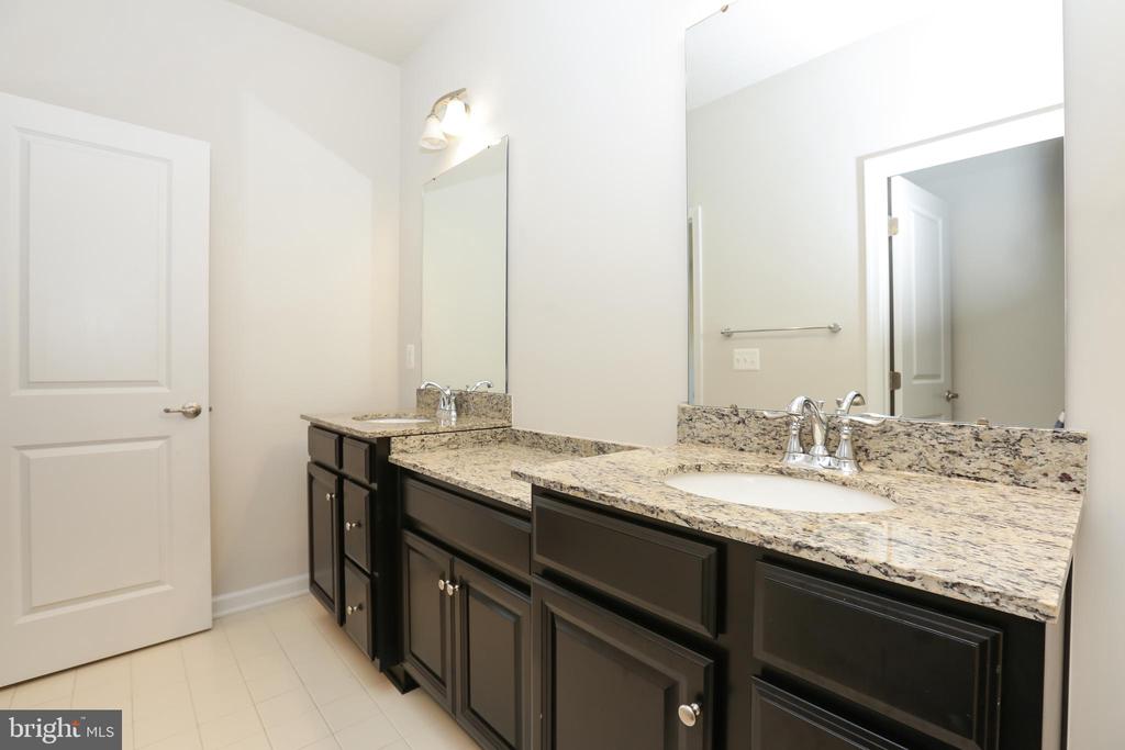 43494 APPLE ORCHARD SQUARE