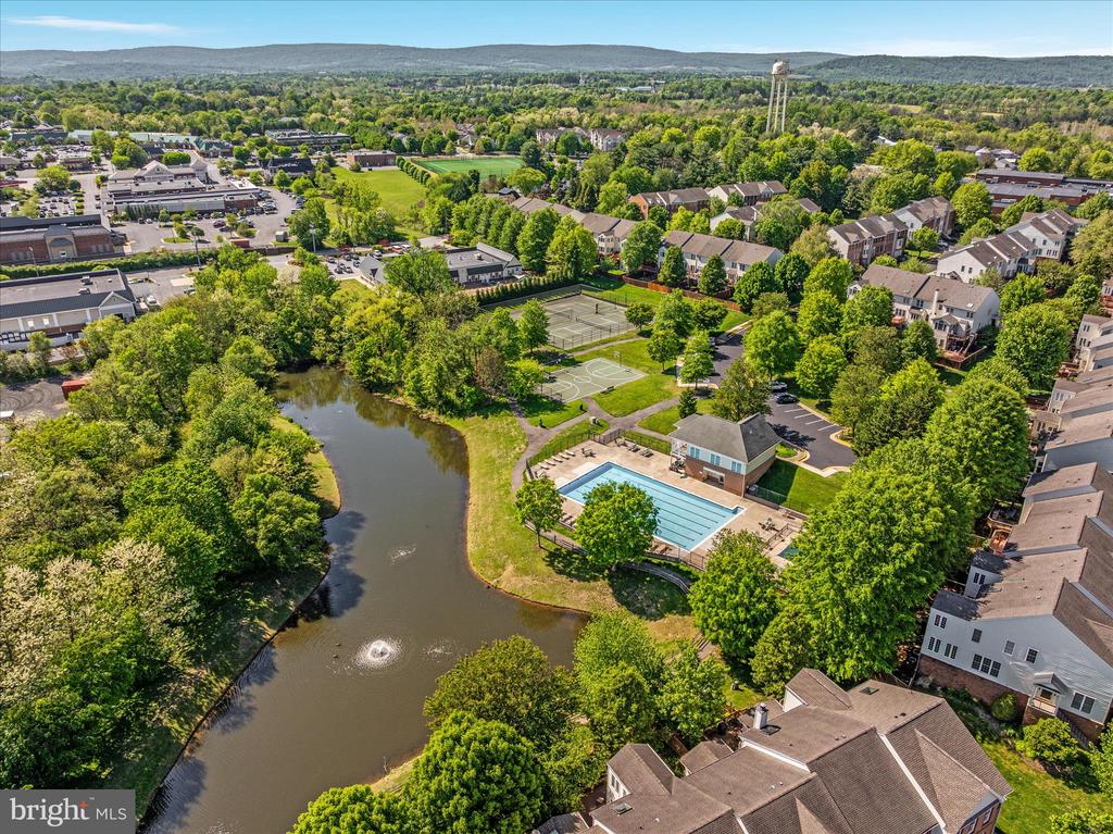 208 MISTY POND TERRACE