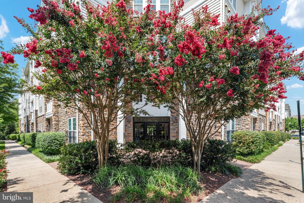 24701 BYRNE MEADOW SQUARE Unit: 406