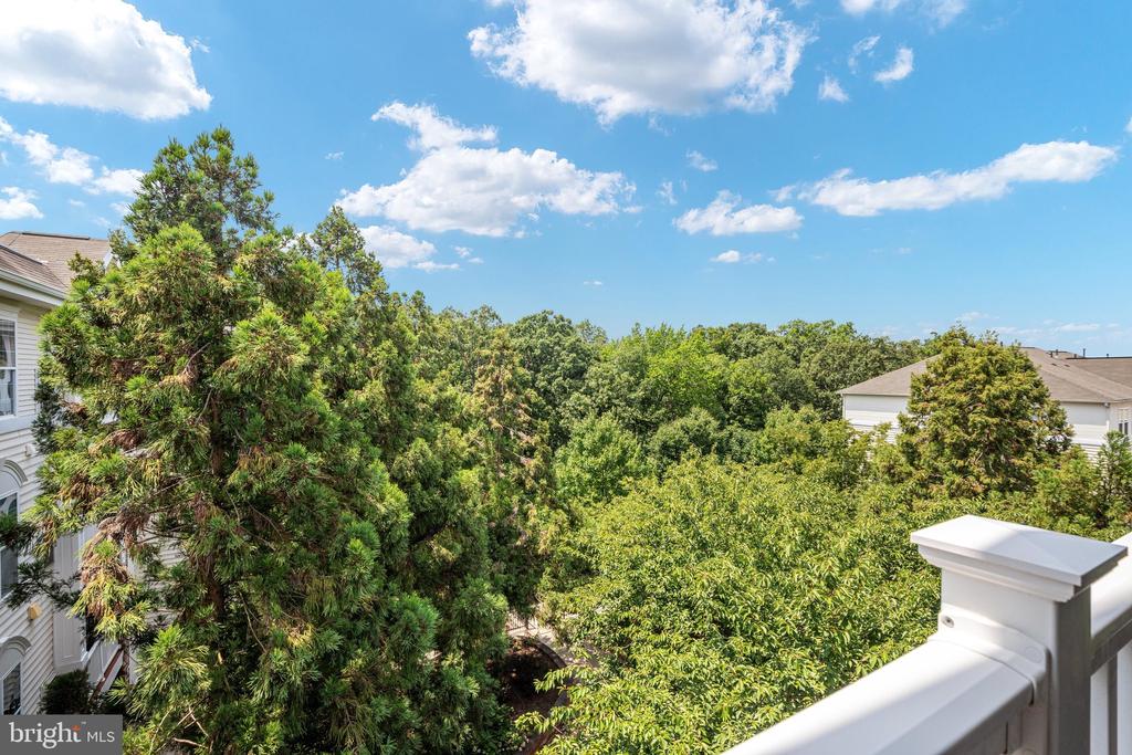 24701 BYRNE MEADOW SQUARE Unit: 406