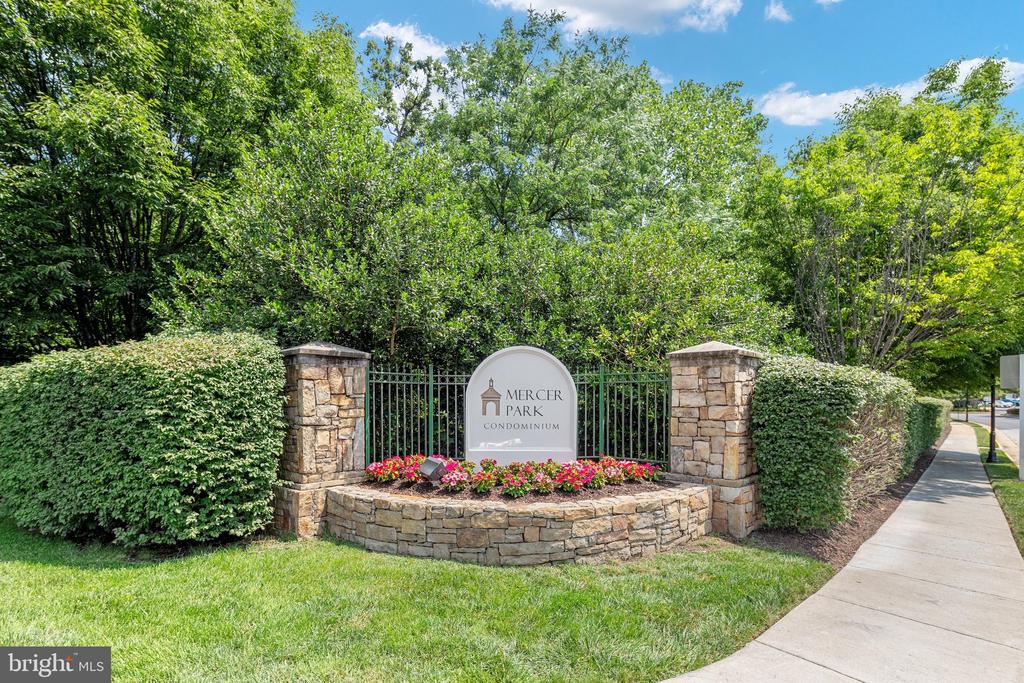 24701 BYRNE MEADOW SQUARE Unit: 406