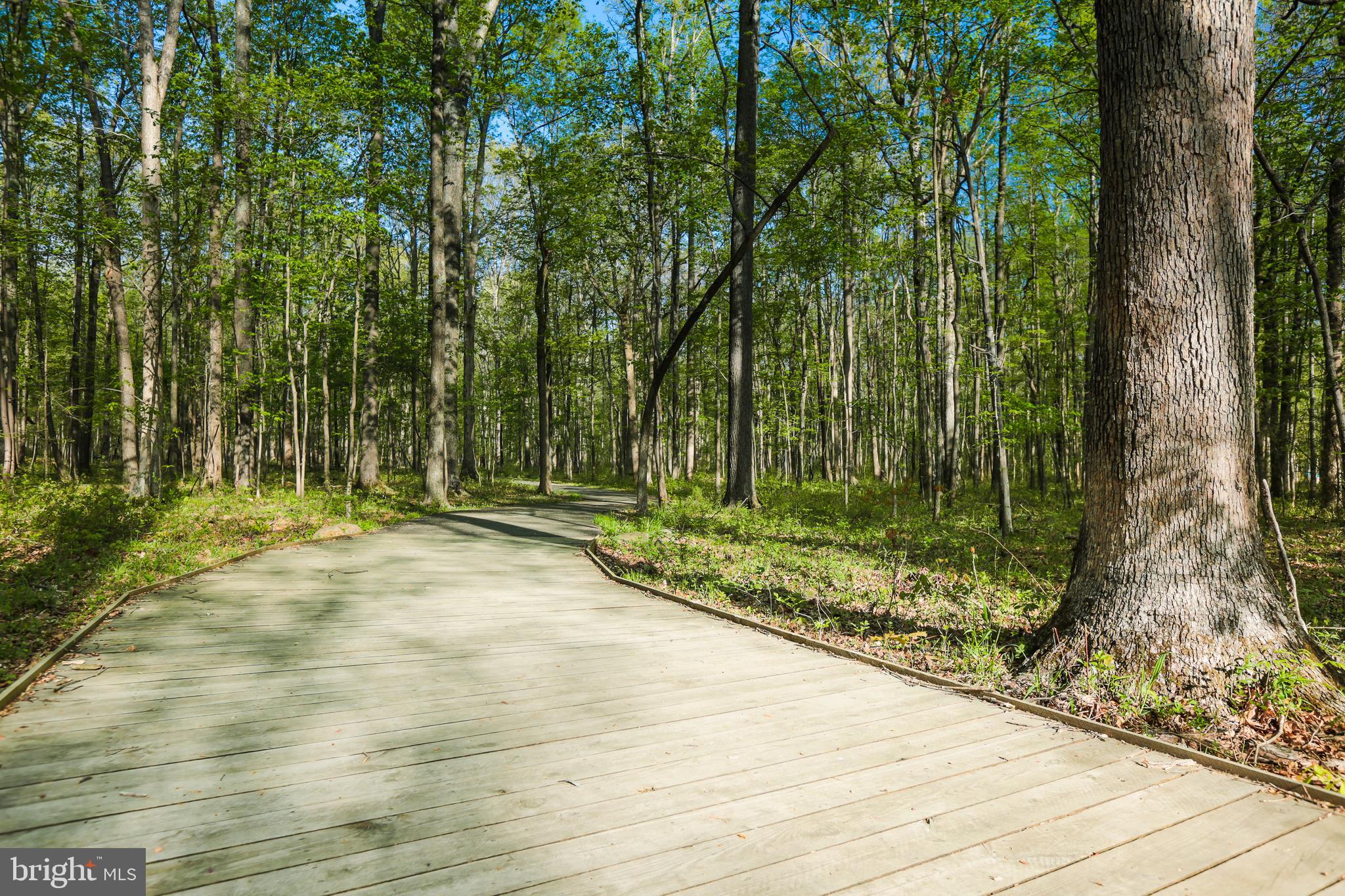 15876 MacKenzie Manor Dr