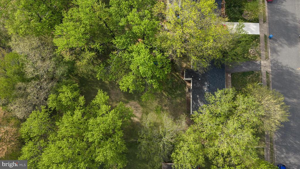 7905 LOMOND COURT