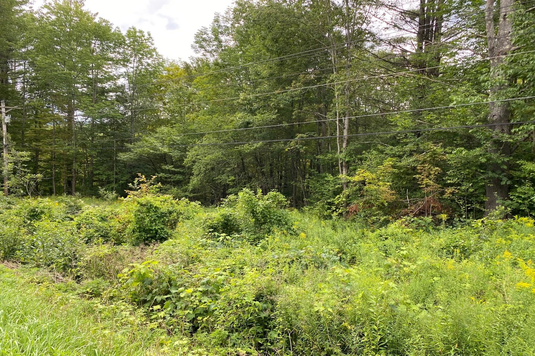 887 Maple Hill Road Unit: T-9, T-10, T-11