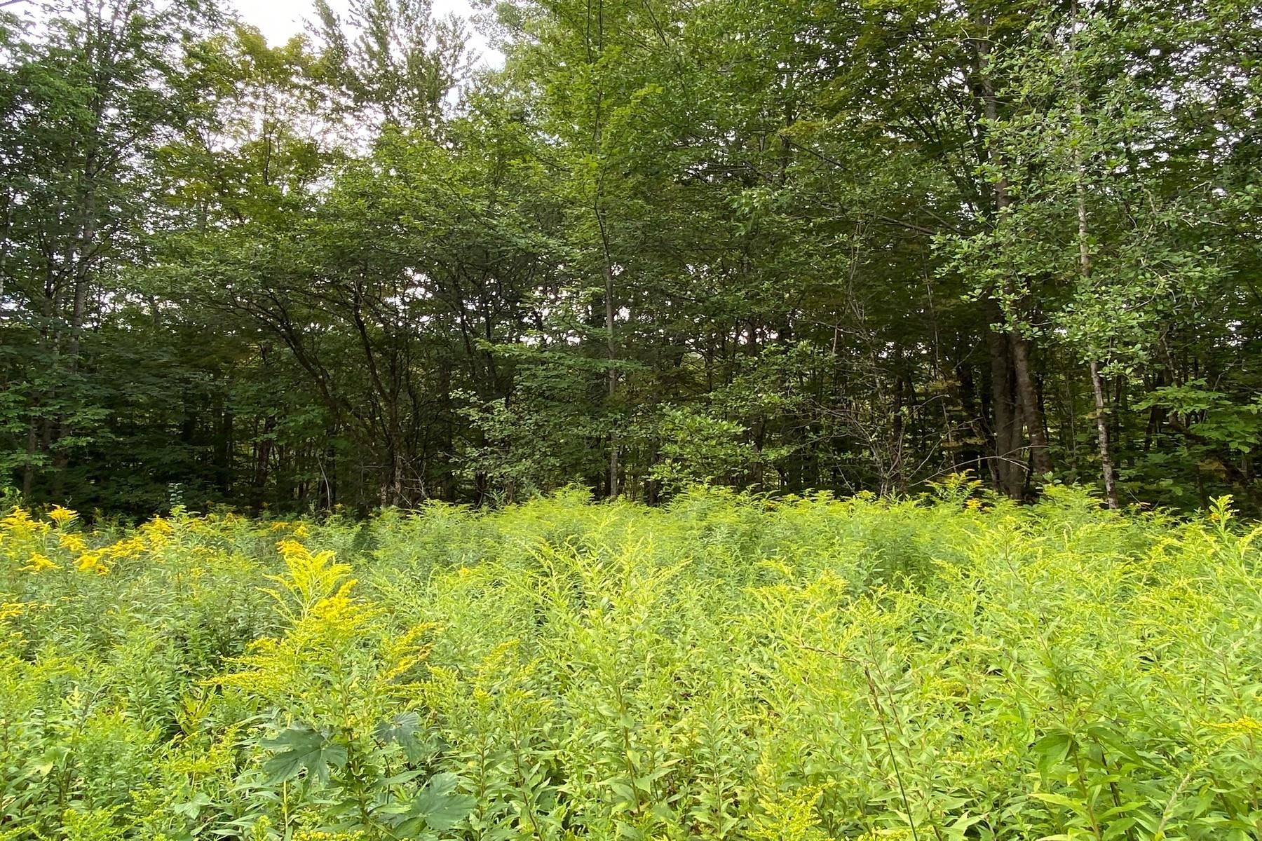 887 Maple Hill Road Unit: T-9, T-10, T-11