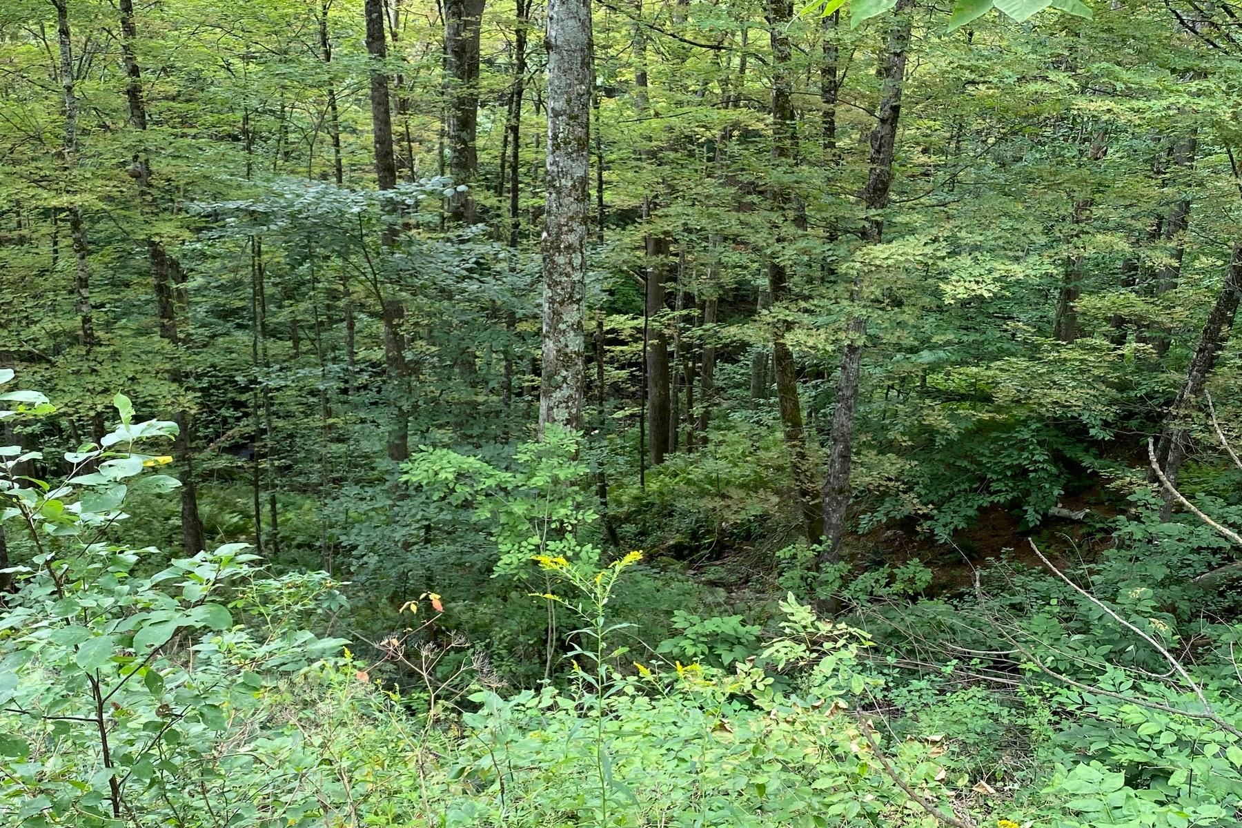 887 Maple Hill Road Unit: T-9, T-10, T-11