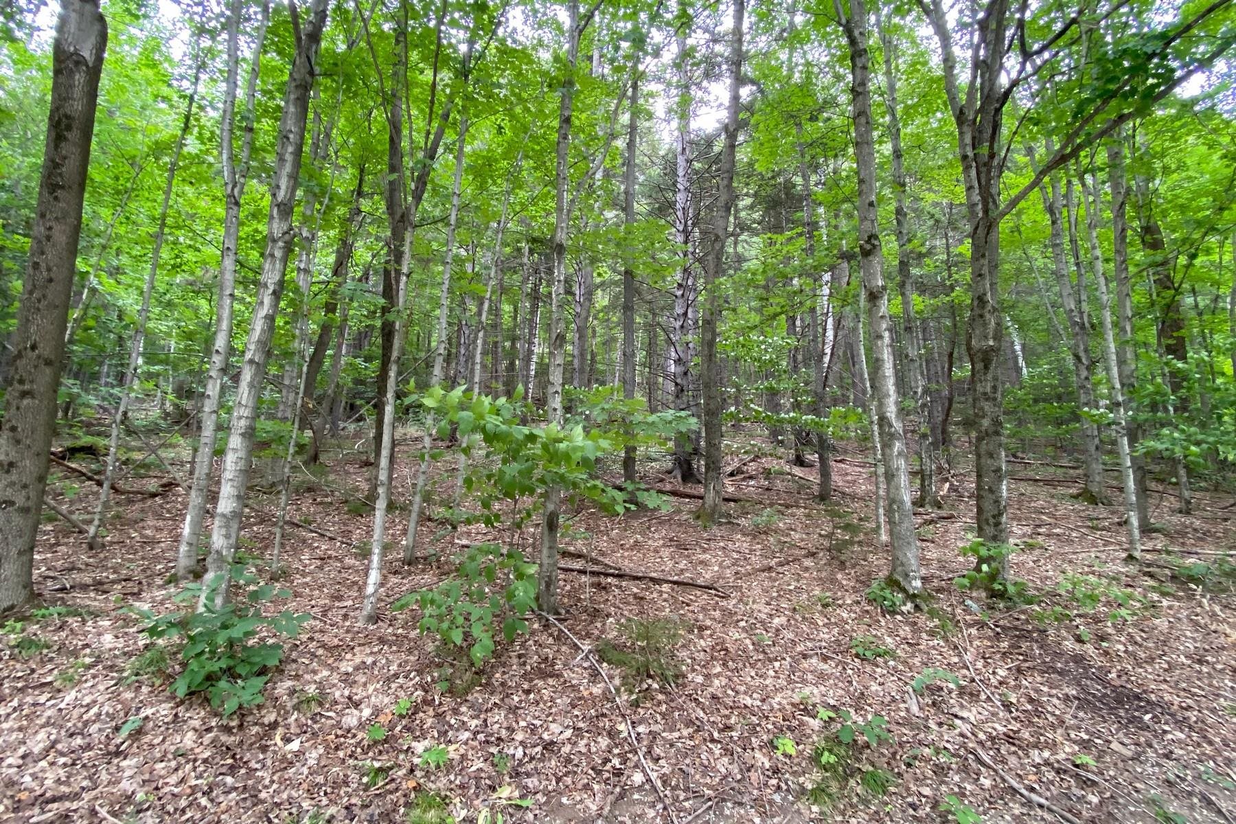 887 Maple Hill Road Unit: T-9, T-10, T-11