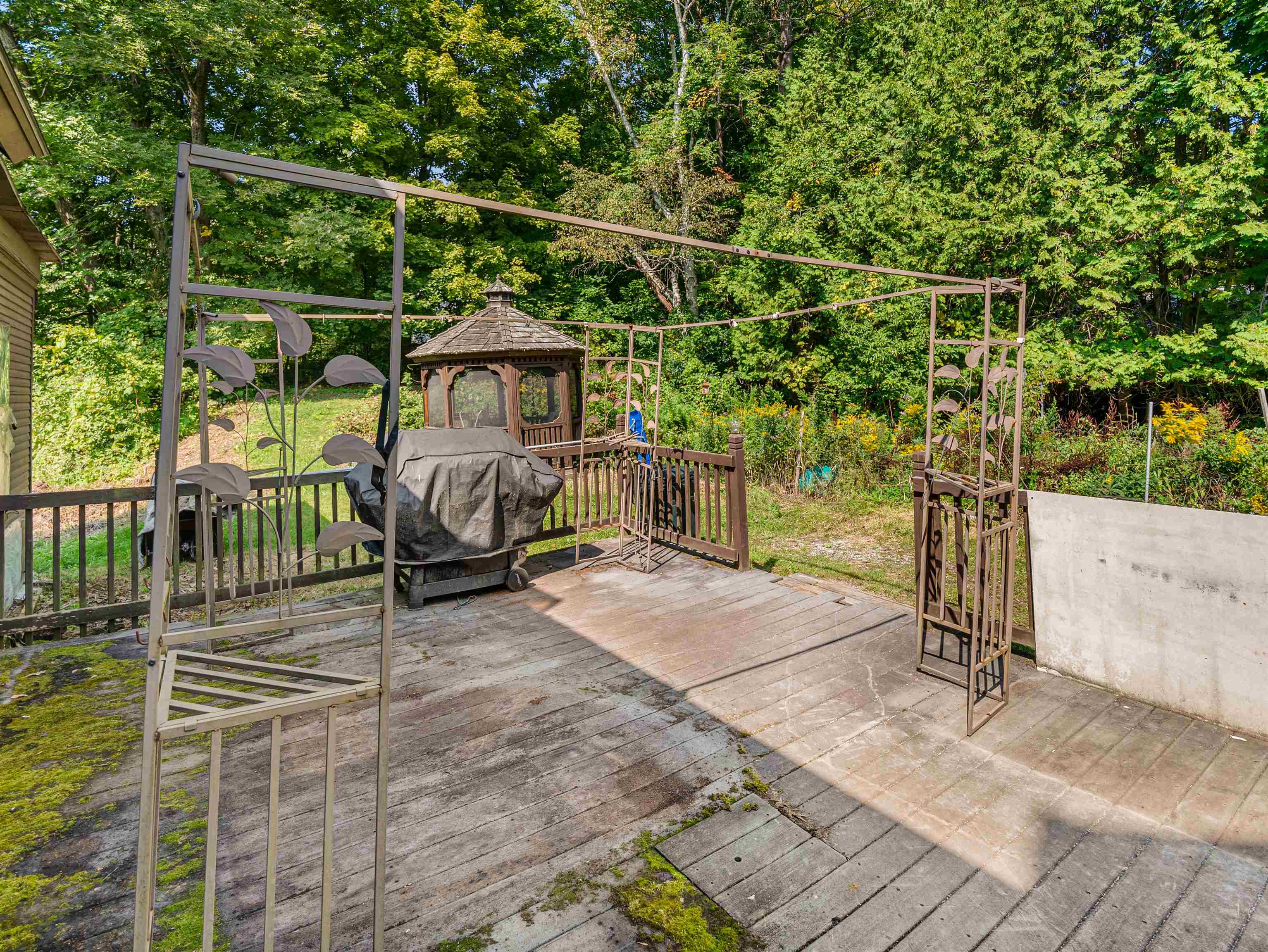 85 Evergreen Avenue