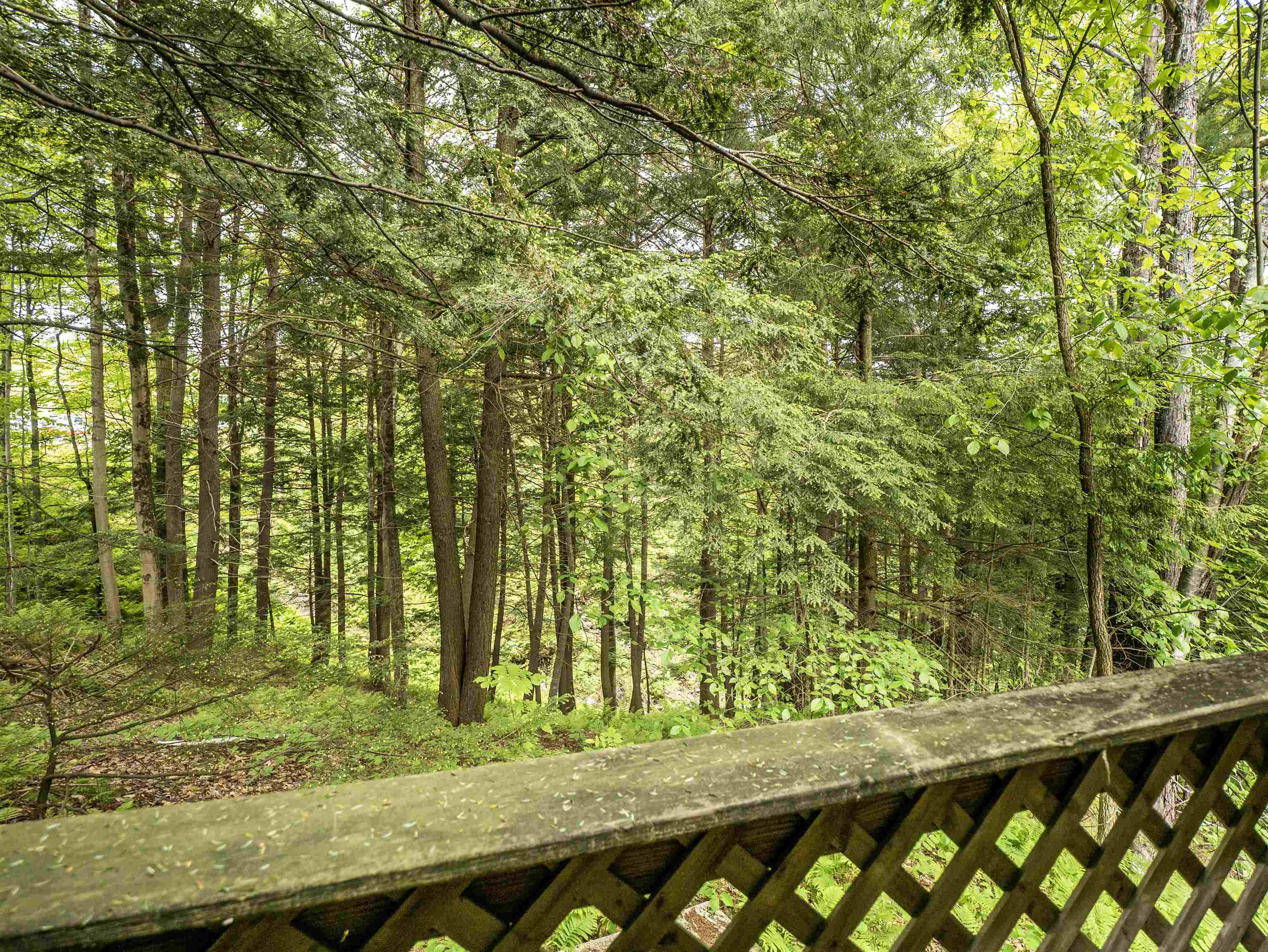 1427 Woodstock Road