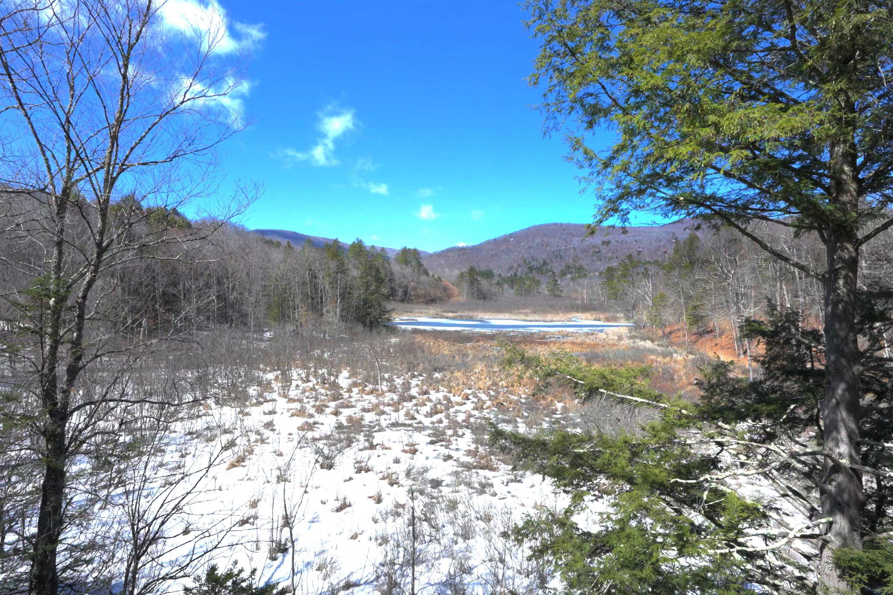 149 Hawk Pond Road
