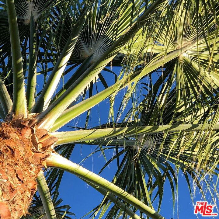 3714 E Calle San Raphael