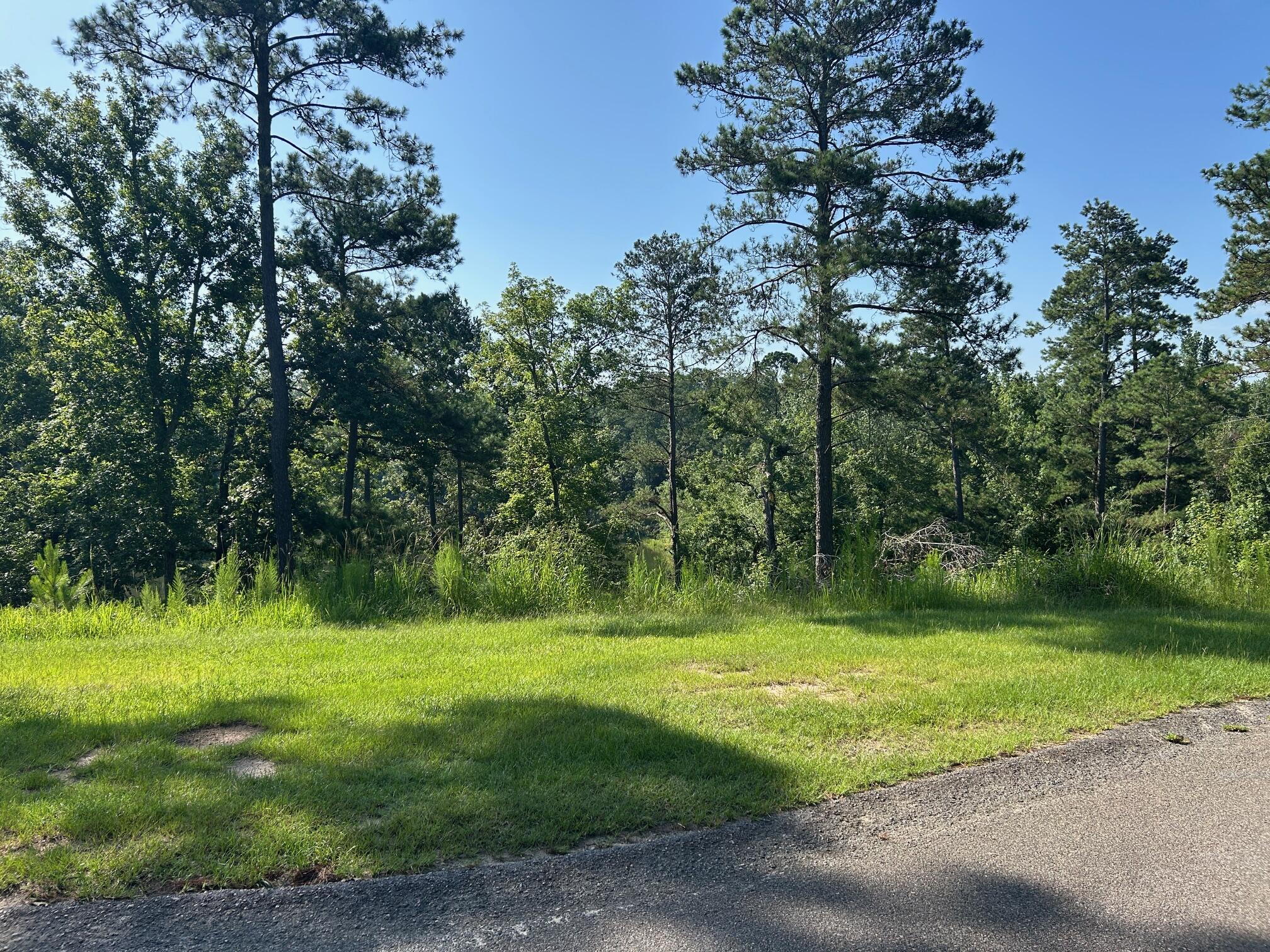 245 Hodges Bay Drive