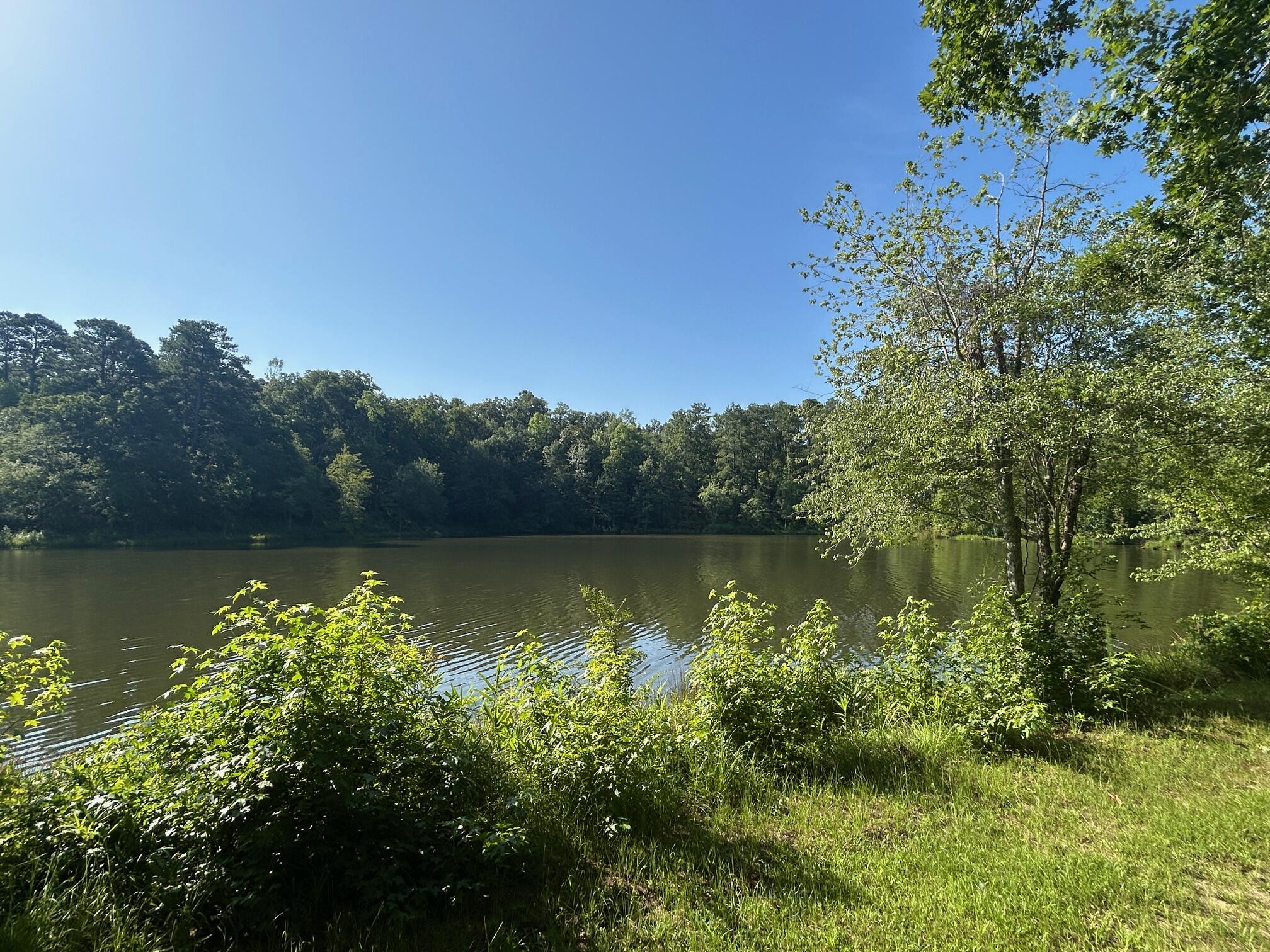245 Hodges Bay Drive