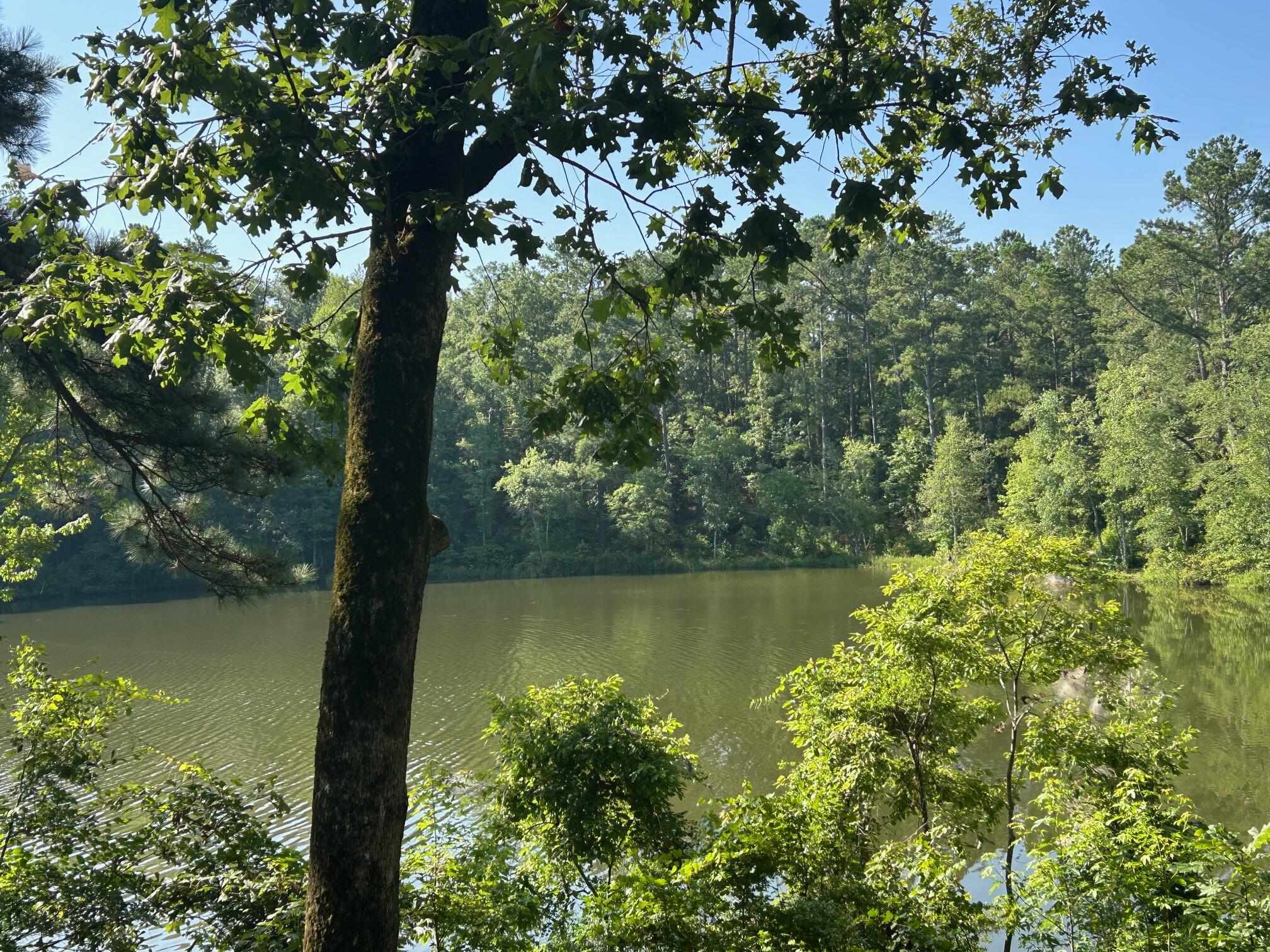 265 Hodges Bay Drive